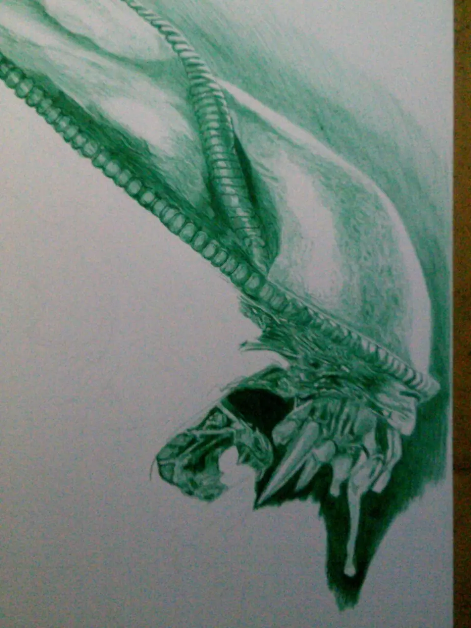 boligrafo
