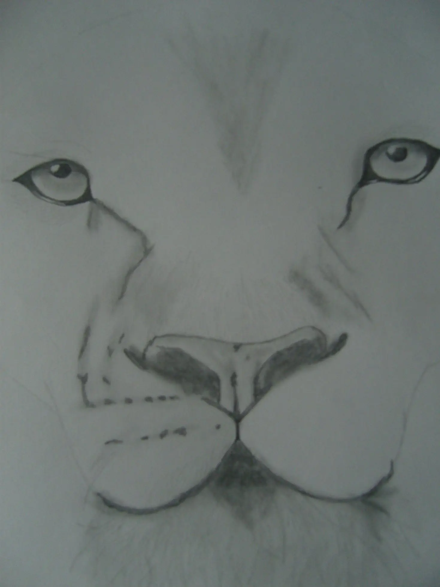 Dibujo