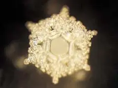 del