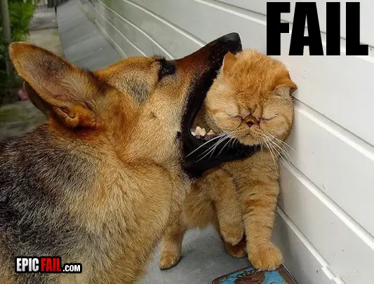 owned