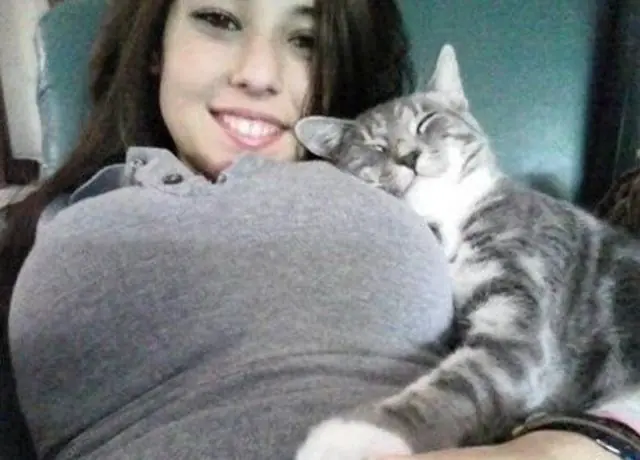 muchos mas gatos