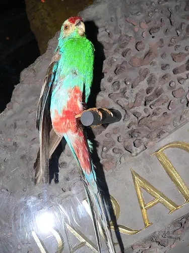 en