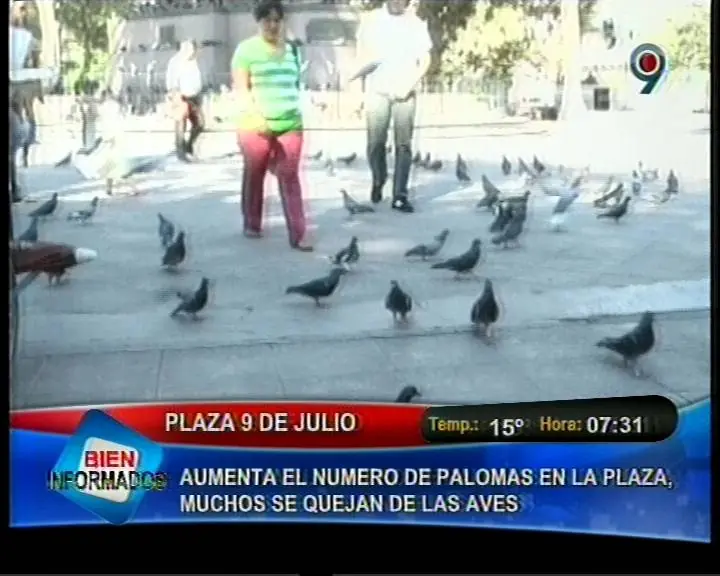 Las Palomas Van a Dominar el Mundo