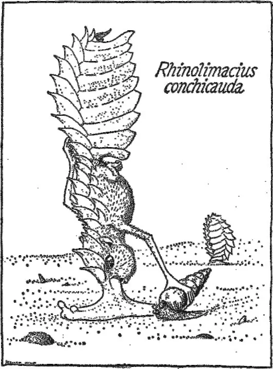 Literalmente 4 Libros Extraños