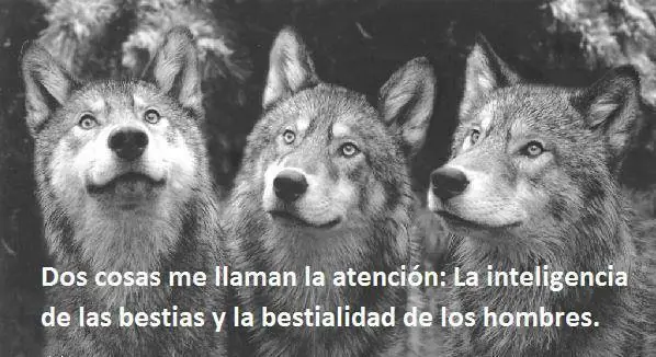ecologia