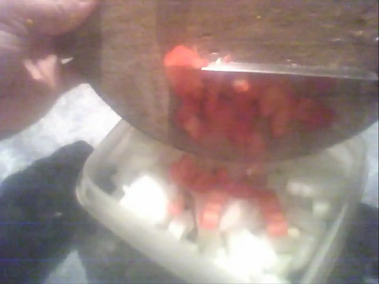 locro rapido