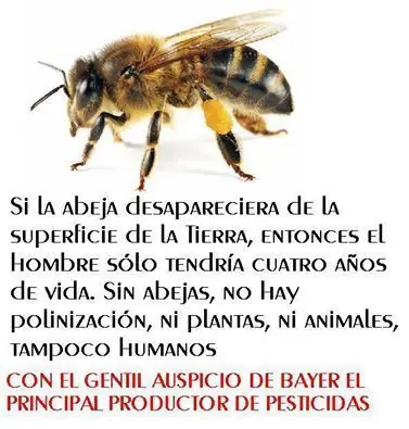 naturaleza