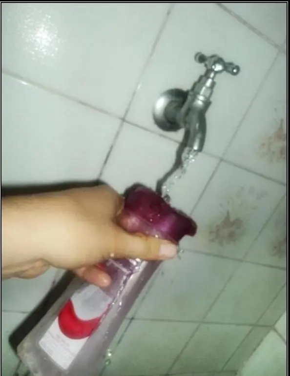 vida