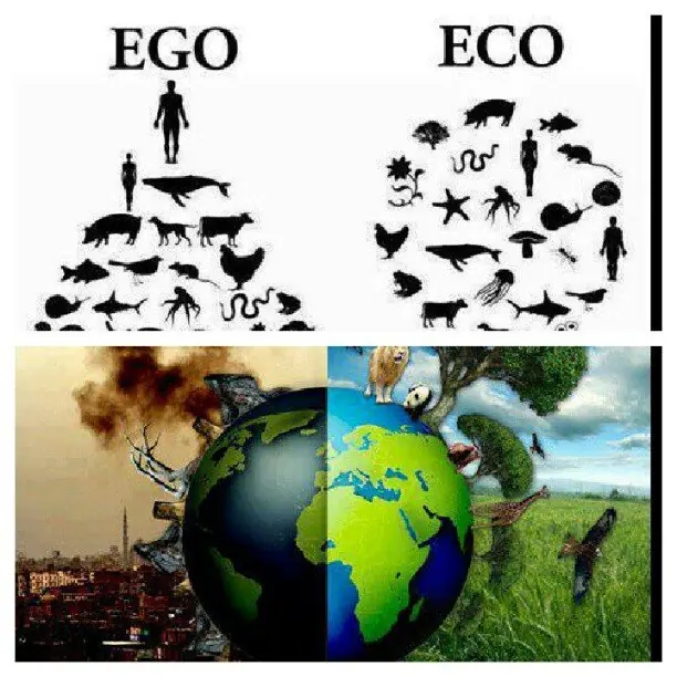 soluciones