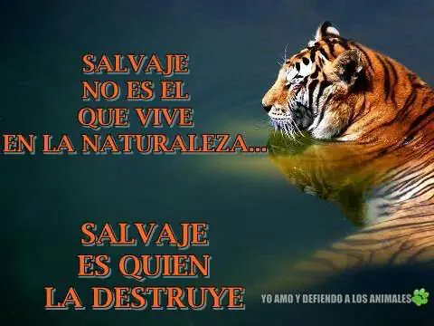 reflexiones