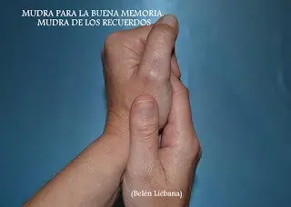 bienestar