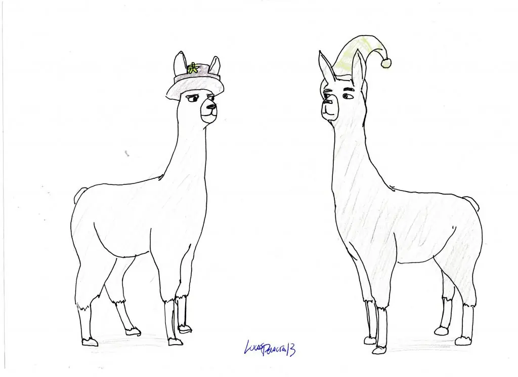 llamas