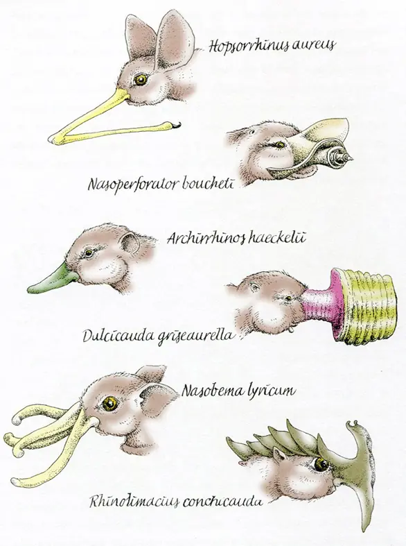 Literalmente 4 Libros Extraños