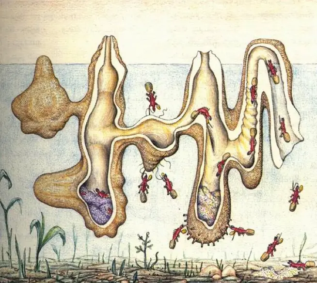 Literalmente 4 Libros Extraños