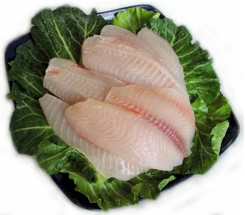 acuicultura
