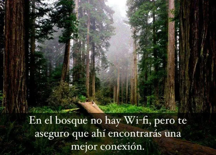critica