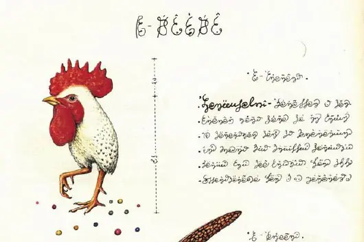 Literalmente 4 Libros Extraños