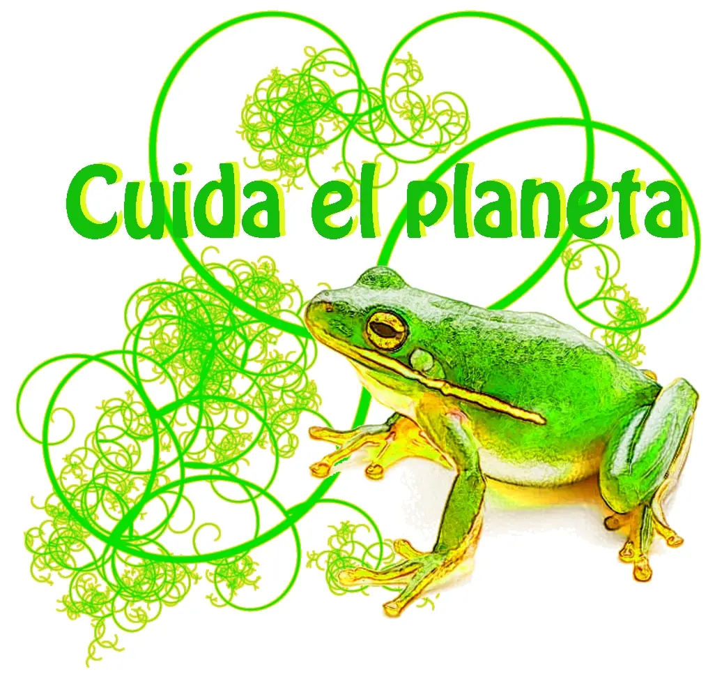 reflexiones