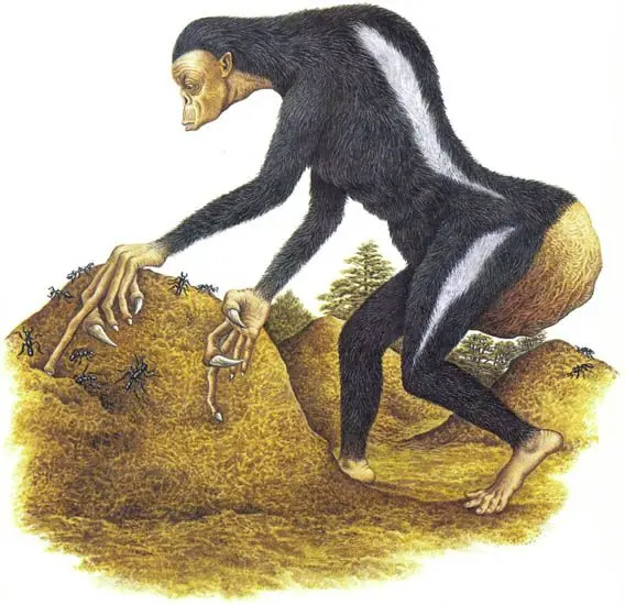 Literalmente 4 Libros Extraños