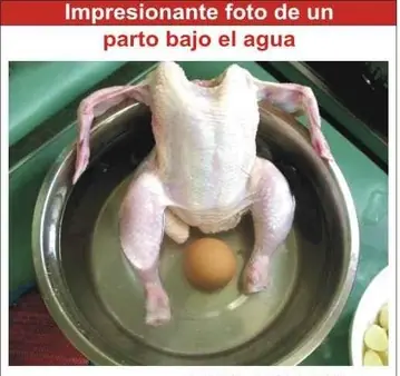 el chileno