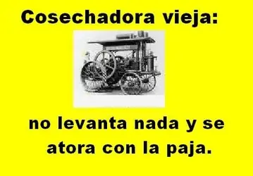 humor