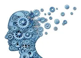 cerebro