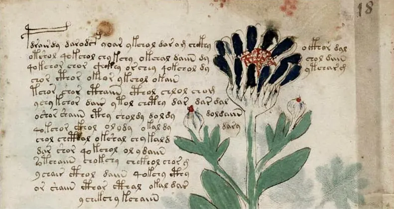 Literalmente 4 Libros Extraños