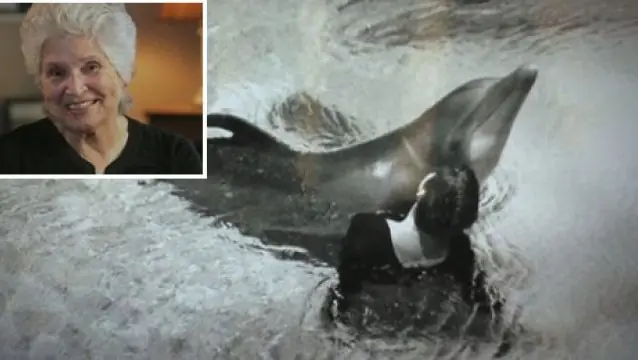 Mujer Revela Que Tuvo Sexo Con Un Delfín En La Nasa