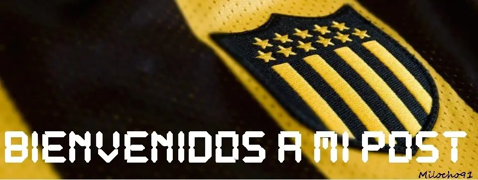 Y así querés organizar un mundial?