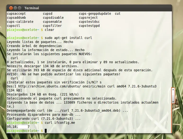 Averiguar tu IP pública desde la terminal