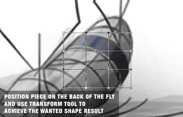 tutorial