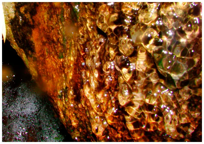 fotografia