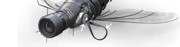 mosca