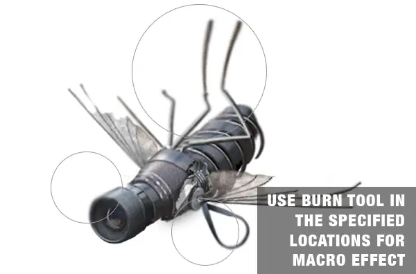 mosca