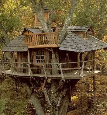 Arbol