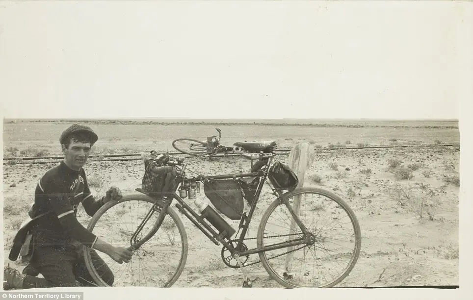 bicicletas