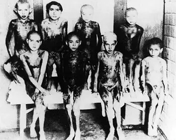 holocausto