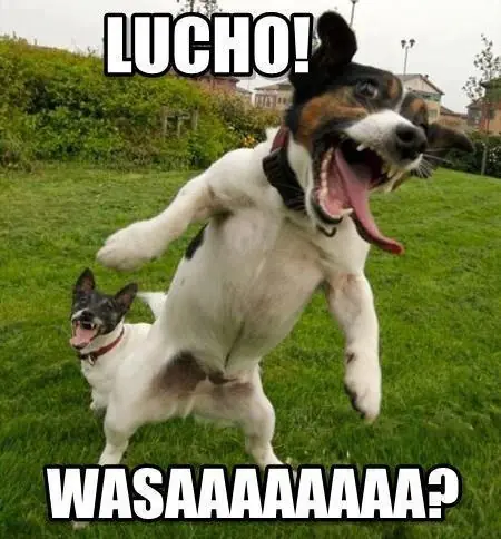 lucho