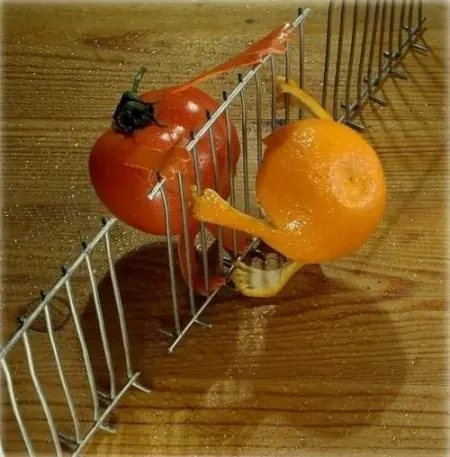 manzana