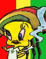 drogas