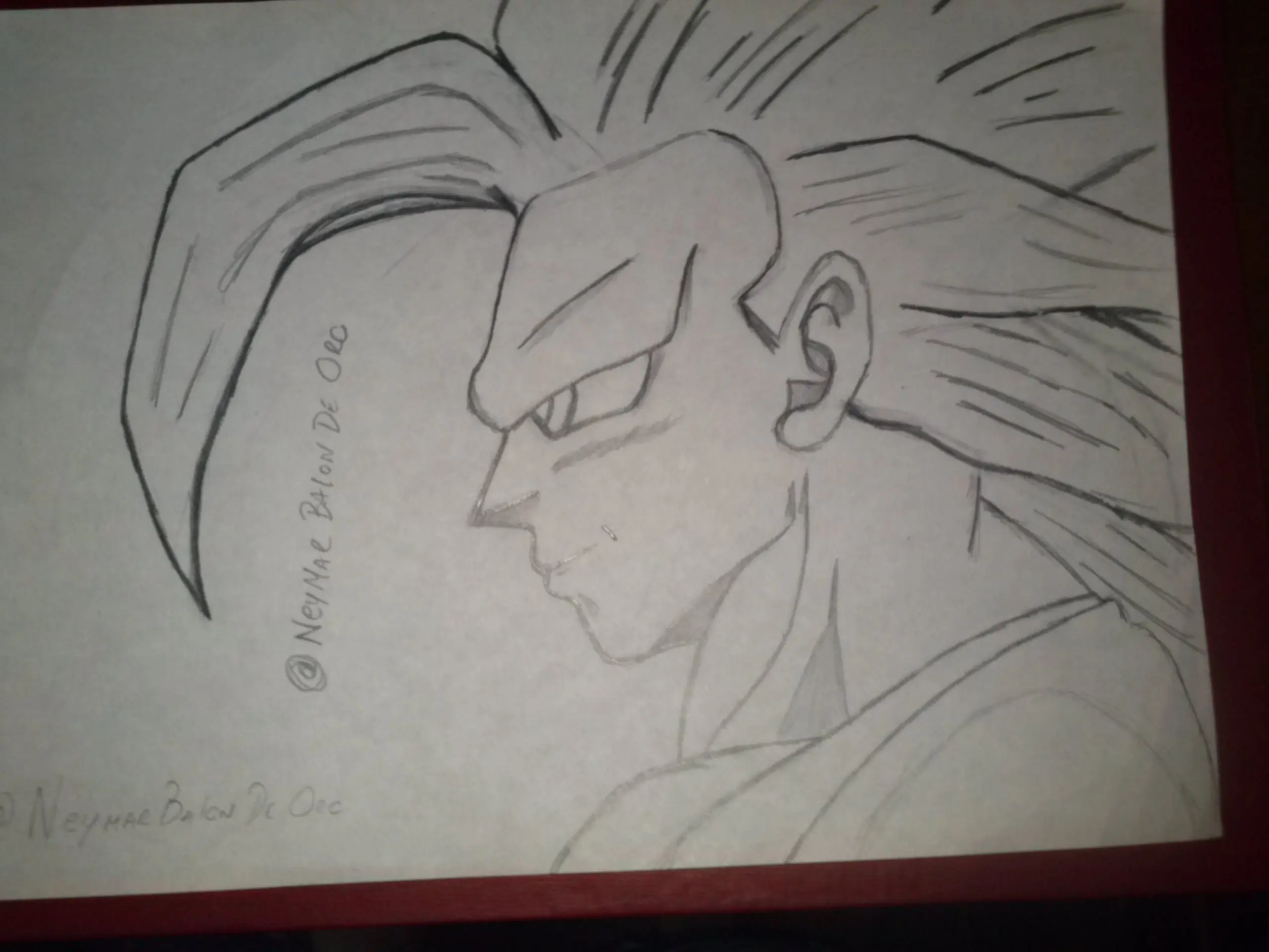 vegeta