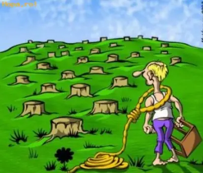 dibujos