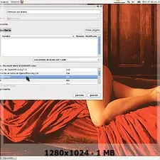 open office