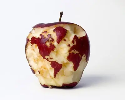 arte con comida