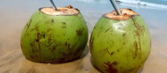 ¿Qué tan nutritiva es el agua de coco?