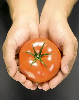 espartano