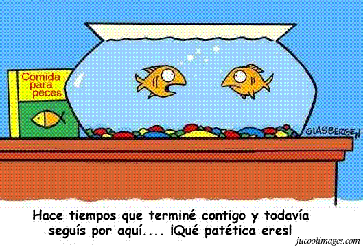 puntos