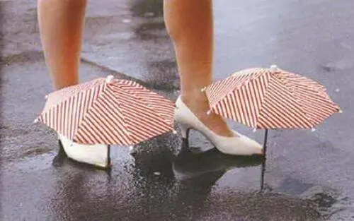 zapatilla