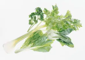 10 Propiedades Del Apio Para Adelgazar