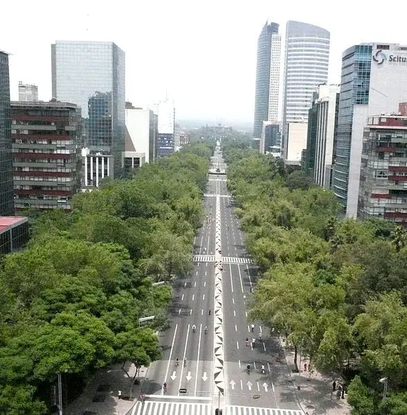 desarrollo